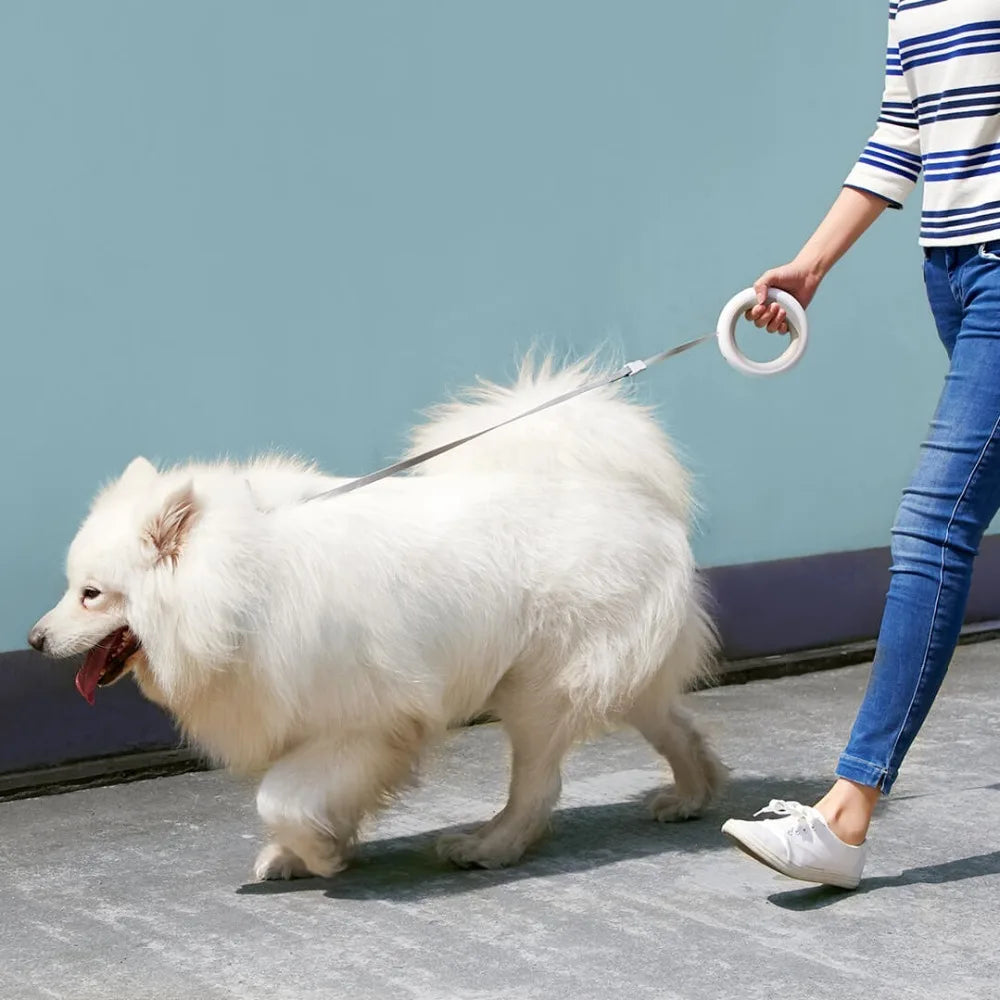 Rocky | Justerbart intelligent koppel - En förbättrad promenadupplevelse för hundar