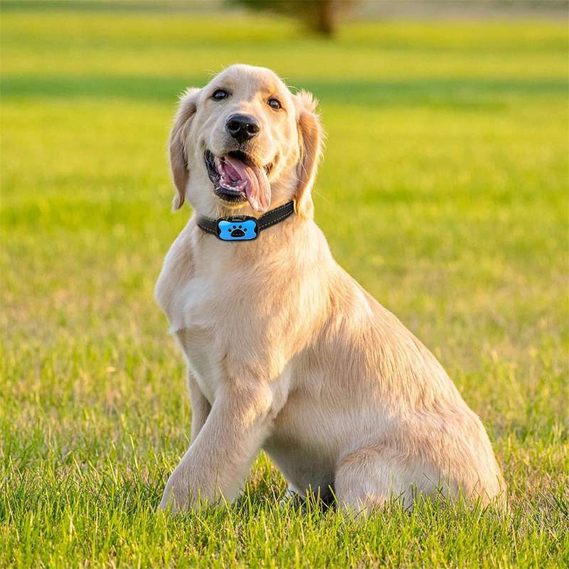 GentleDog™ Hundhalsband för skällande hundar