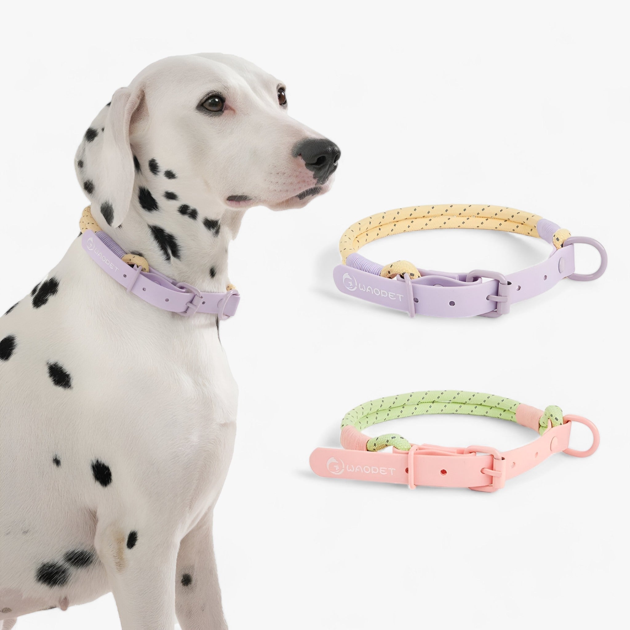 PAWFECT PALS | Hundhalsband-set – Slående design och hållbarhet i ett